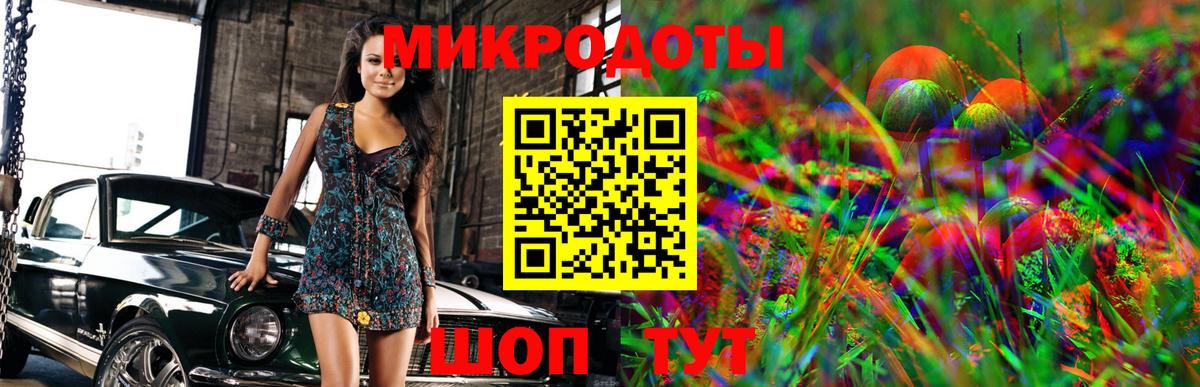 Галлюциногенные грибы Psilocybine cubensis  Псилоцибиновые грибы MAGIC MUSHROOMS  Вход с VPN  Серов 
