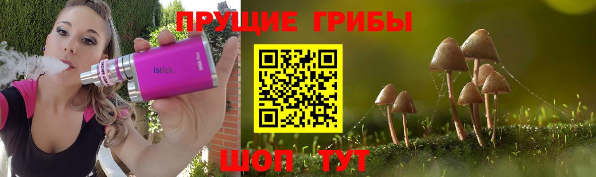 Галлюциногенные грибы GOLDEN TEACHER Серов